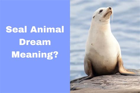 Messages from the Animal Kingdom: Deciphering the Symbolic Significance of Seals in Intrusive Dream Encounters