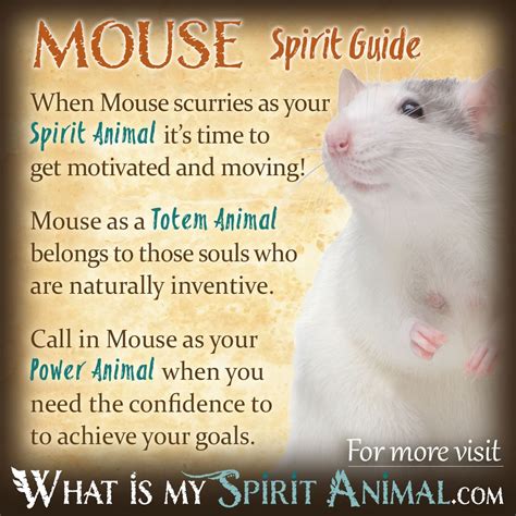 Mice and Their Symbolism in Dreams