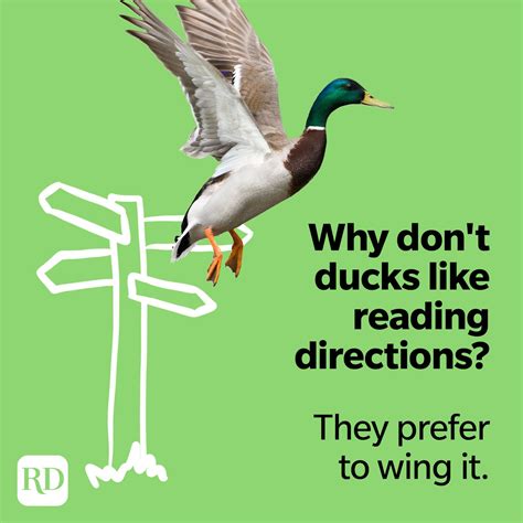Mind Over Quacks: The Surprising Psychology of Avian Bills