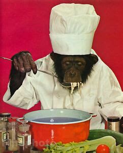 Monkey Cuisine as a Culinary Taboo