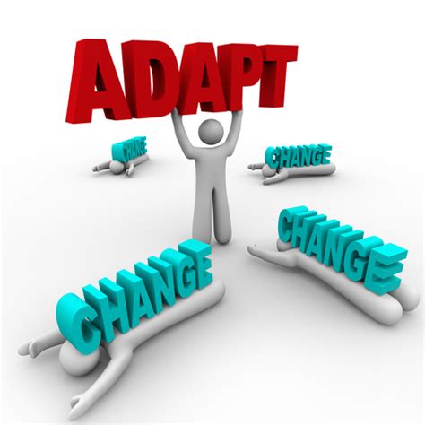 Moving Towards Acceptance and Adaptation