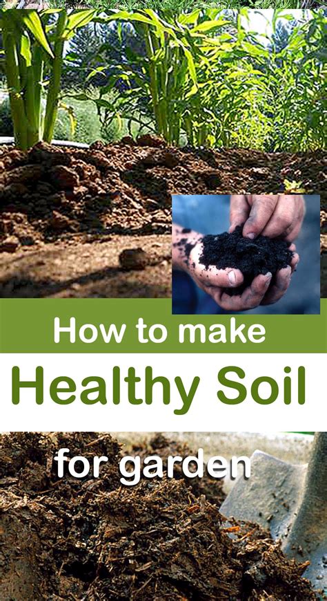 Natural Remedies: Enhance Gardens and Foster Soil Health