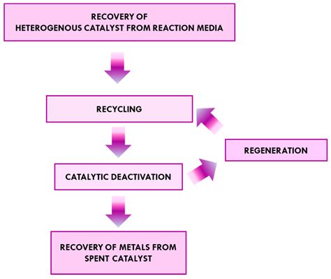 Nature as a Catalyst for the Process of Recovery