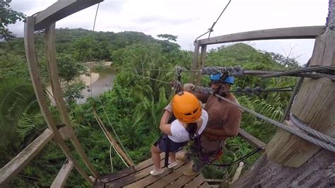Navigate the Jungle with Ziplining: A Unique Thrill Amongst the Wild