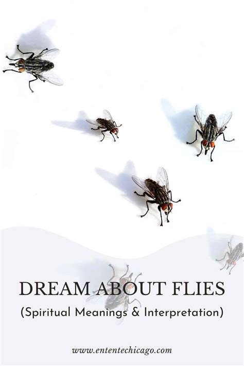 Navigating the Dark and Light Sides: Dual Symbolism of Flies in Dream Interpretation