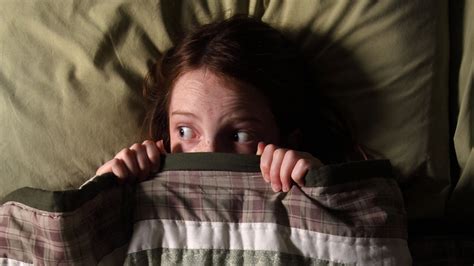 Nightmares as Warning Signs: Exploring the Role of Fear in Dreams