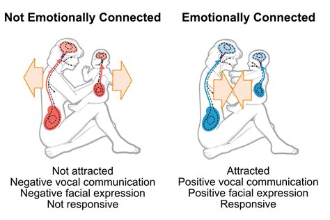 Nurturing Communication and Emotional Connection