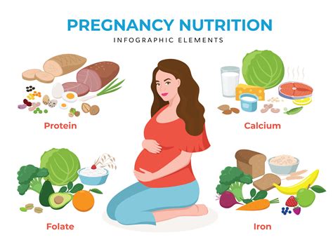 Nutrition Throughout Pregnancy: Nourishing Your Baby's Development