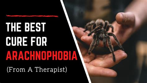 Overcoming Arachnophobia: Therapy Options for Restful Nights