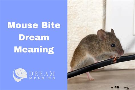 Overcoming the Negative Effects of Mouse Bite Dream Experiences
