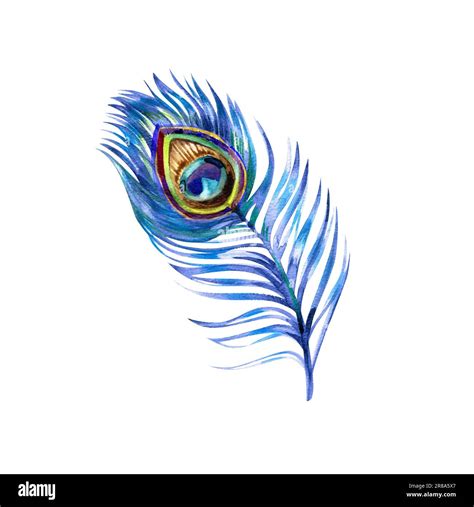 Peacock Feathers as a Symbol of Immortality