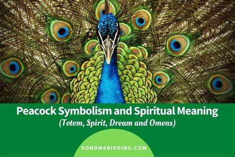 Peacock Feathers in Mythology and Religion