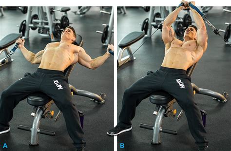 Perform Specific Chest Exercises Regularly