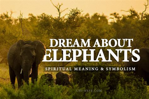 Possible Explanation for Specific Dream Scenarios Involving Elephants and Causing Harm