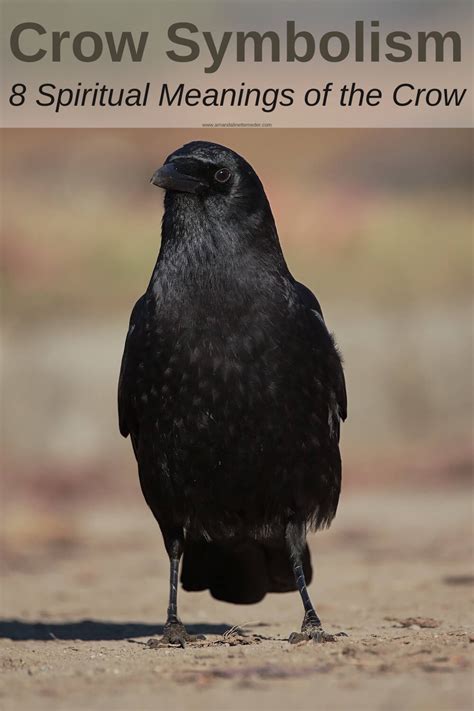 Practical Applications: Harnessing the Power of Crow Symbolism for Insight and Guidance in Life