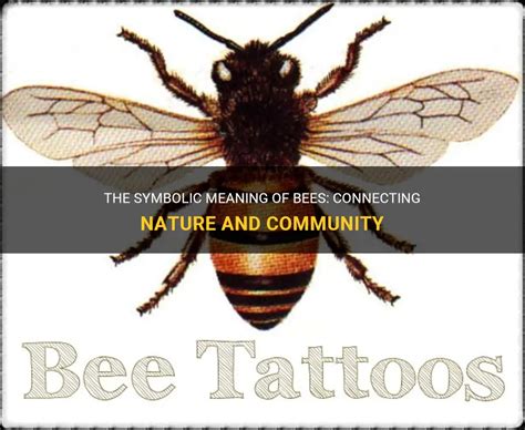 Practical Steps to Connect with the Symbolic Meaning of Bees