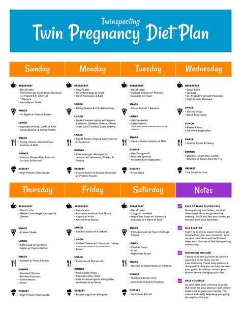 Preparing Your Body for a Twin Pregnancy: Nutrition and Lifestyle Choices