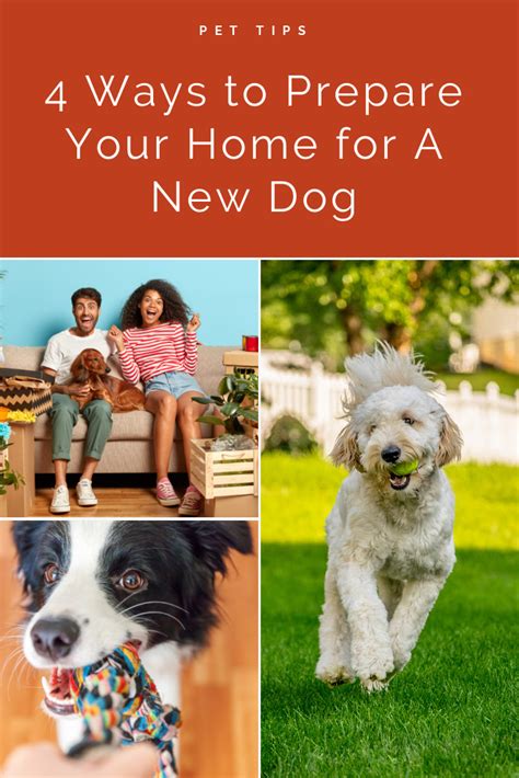 Preparing Your Home for Your New Canine Companion