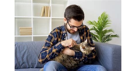 Preparing Your Home for a New Furry Companion