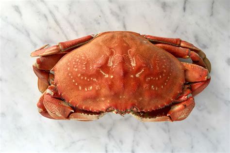 Prepping the Crab: How to Clean and Prepare Fresh Crab