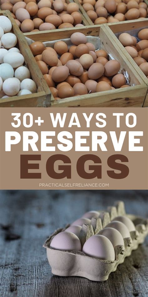 Preserving Freshness and Flavor: Maximizing the Enjoyment of Homegrown Eggs