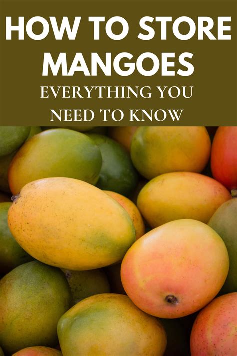 Preserving the Freshness: Proper Storage and Handling of Mangos
