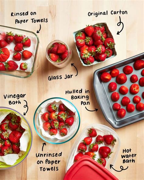 Preserving the Freshness: Proper Ways to Store and Prolong the Lifespan of Strawberries