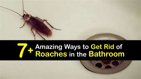 Preventing Recurring Dreams of Roaches in the Bathroom