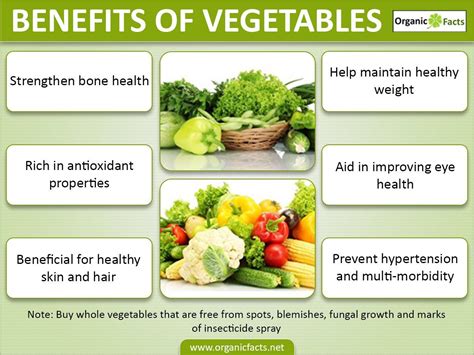Promoting Health and Preventing Chronic Diseases with Nutrient-Rich Green Leafy Vegetables