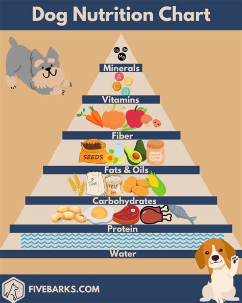Proper Nutrition and Healthcare for Your Puppy
