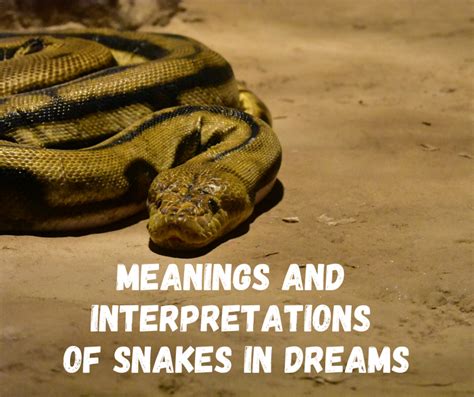 Psychological Analysis of Dreaming About a Massive Serpent