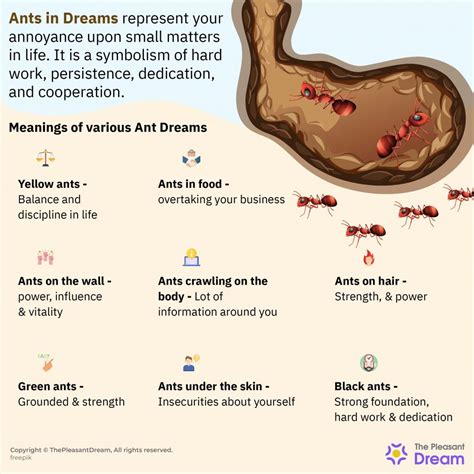 Psychological Analysis of Dreams Involving Ants Emerging From the Fingertips