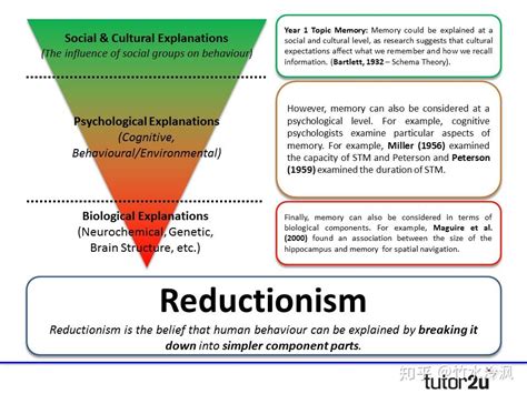 Psychological Explanations: Finding Meaning in the Act of Consuming Utensils during Sleep