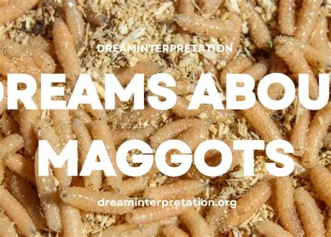 Psychological Insights: Unveiling the Symbolic Representation of Ants and Maggots in Dreams