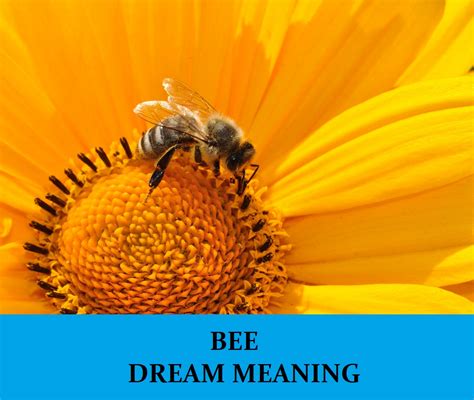 Psychological Insights into Dreams Featuring Bees Entangled in Tresses