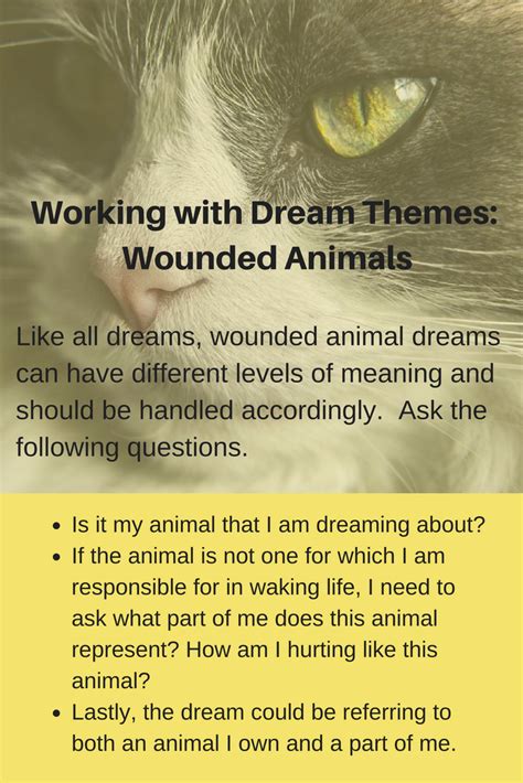 Psychological Insights into Dreams Featuring Wounded Felines