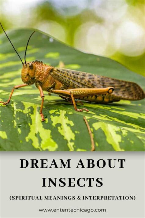 Psychological Interpretation: Unveiling the Insights of the Enormous Insect Dream on Our Psyche