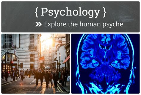 Psychological Perspectives: Exploring the Depths of the Human Psyche