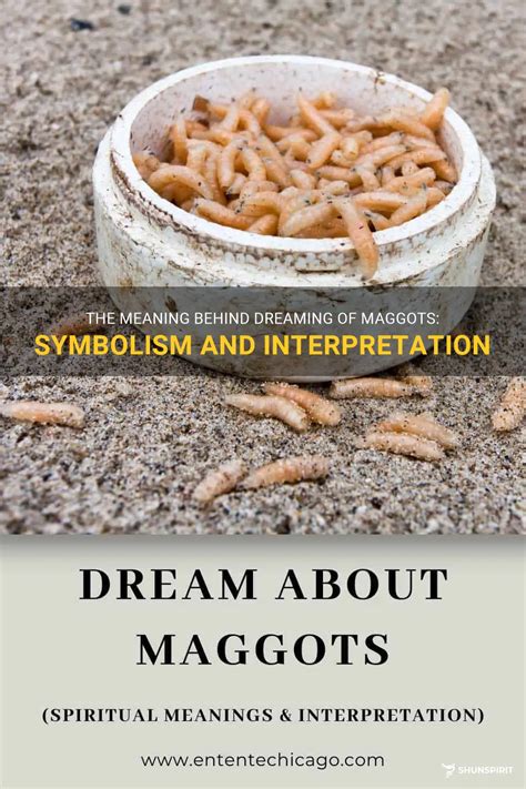 Psychological Perspectives: Unveiling the Meaning Behind Maggot Cleansing Dreams