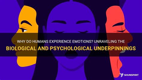 Psychological and Emotional Underpinnings: Unraveling the Significance