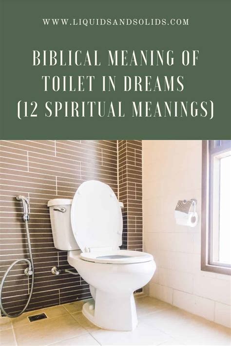 Purifying the Mind and Transforming the Self: Conquering Symbolic Impurity in Toilet Dreams