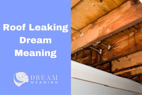 Reasons Why You May Dream of a Domicile Roof Dripping