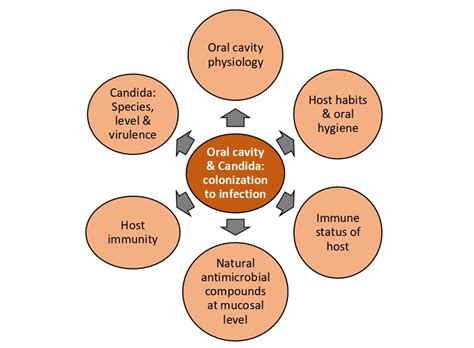 Risk Factors Contributing to Oral Fungal Infections