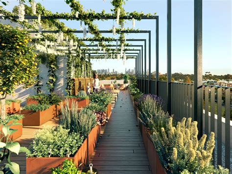 Rooftop Gardens: Revitalizing Urban Spaces