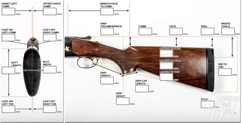 Safety is Paramount: What You Must Know Before Acquiring a Shotgun