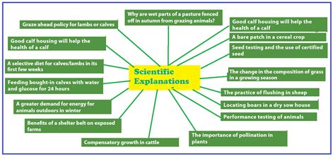 Scientific Explanations for the Enigmatic Occurrence