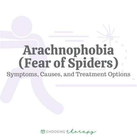 Seeking Professional Help: Therapy Options for Dealing with Arachnophobia