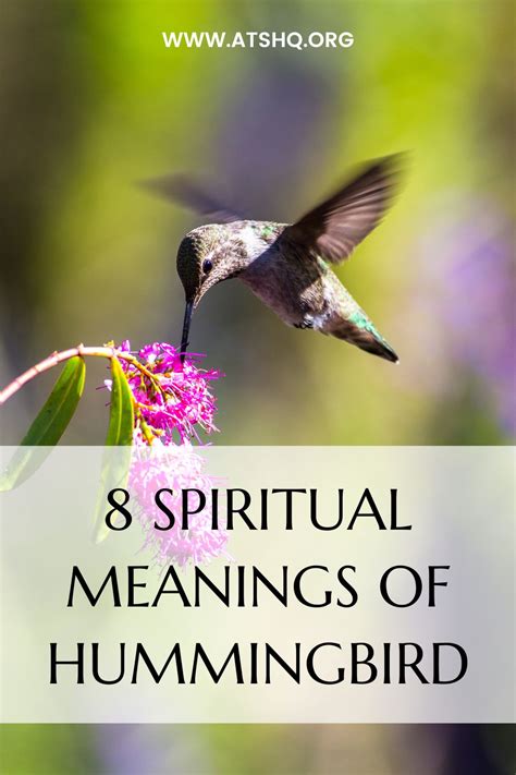 Seeking Wisdom from Ancient Civilizations: Exploring Hummingbirds as Spiritual Shamanic Guides