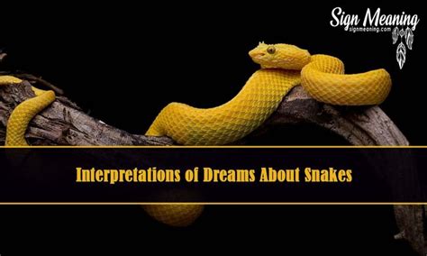 Seeking guidance: Enlisting the expertise of dream analysts to decipher dreams depicting snake assaults