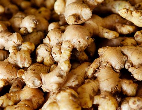 Selecting High-Quality Ginger: Tips for Choosing the Freshest and Most Flavorful Roots